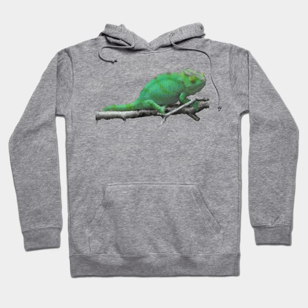 Low Poly Chameleon Hoodie by TRIME